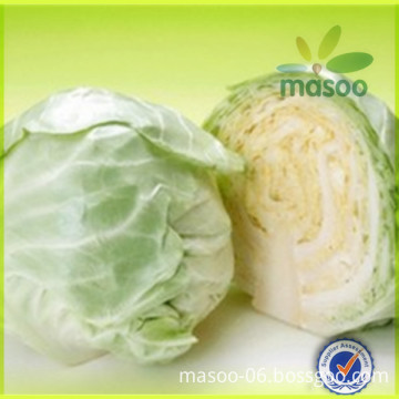 Wholesale Chinese Fresh cabbage in bulk, fresh vegetables, good quality